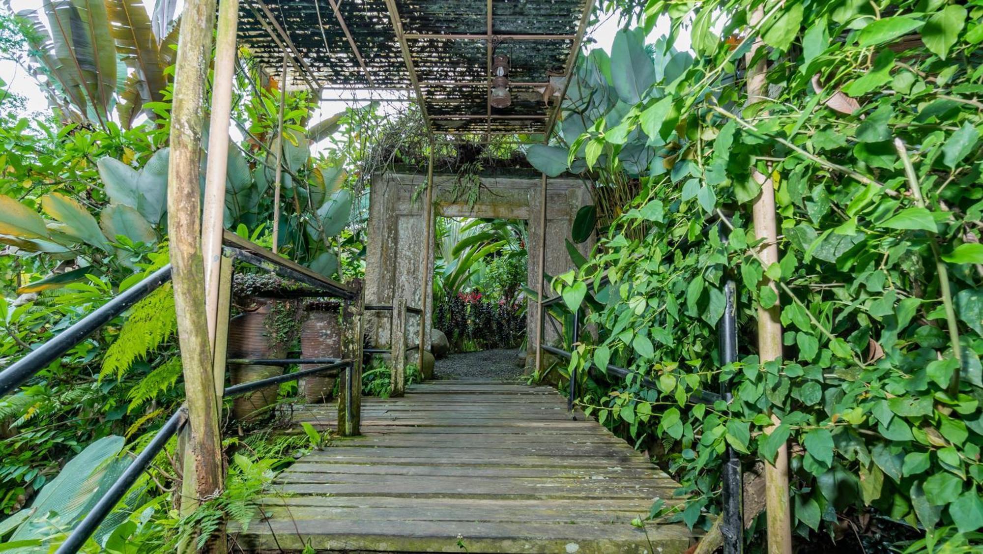 Vila Umah Tis Sebatu Tegallalang  Exteriér fotografie