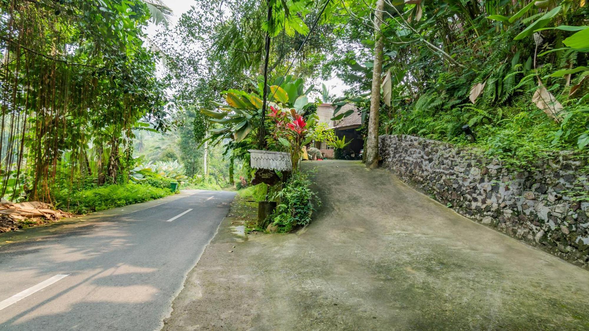 Vila Umah Tis Sebatu Tegallalang  Exteriér fotografie